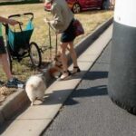 SierraRace_0386-200x200