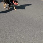 SierraRace_0528-200x200